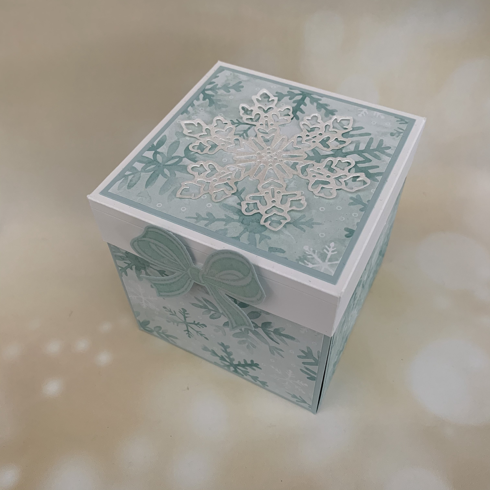 Coole Wintergre - Explo Box 1.jpeg